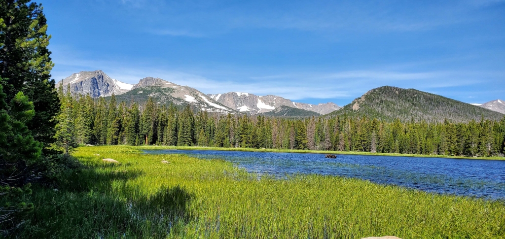 Moose at Bierstadt Lake