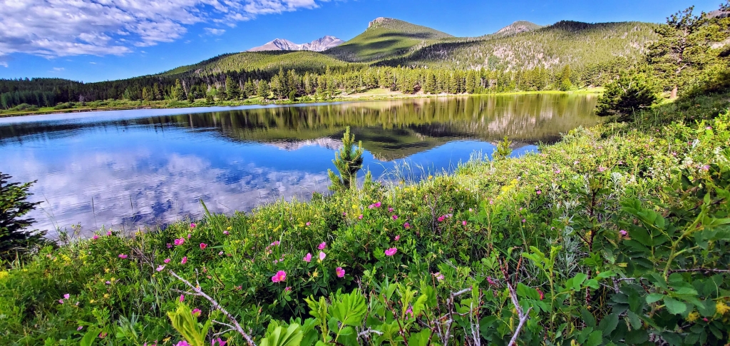 Lily Lake near Estes Park