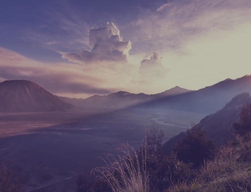 Are old, unhealed inner wounds hurting or devastating you?