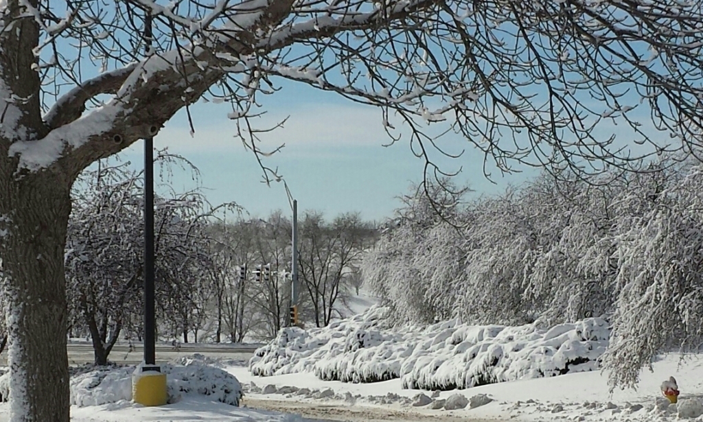 A snowy winter scene