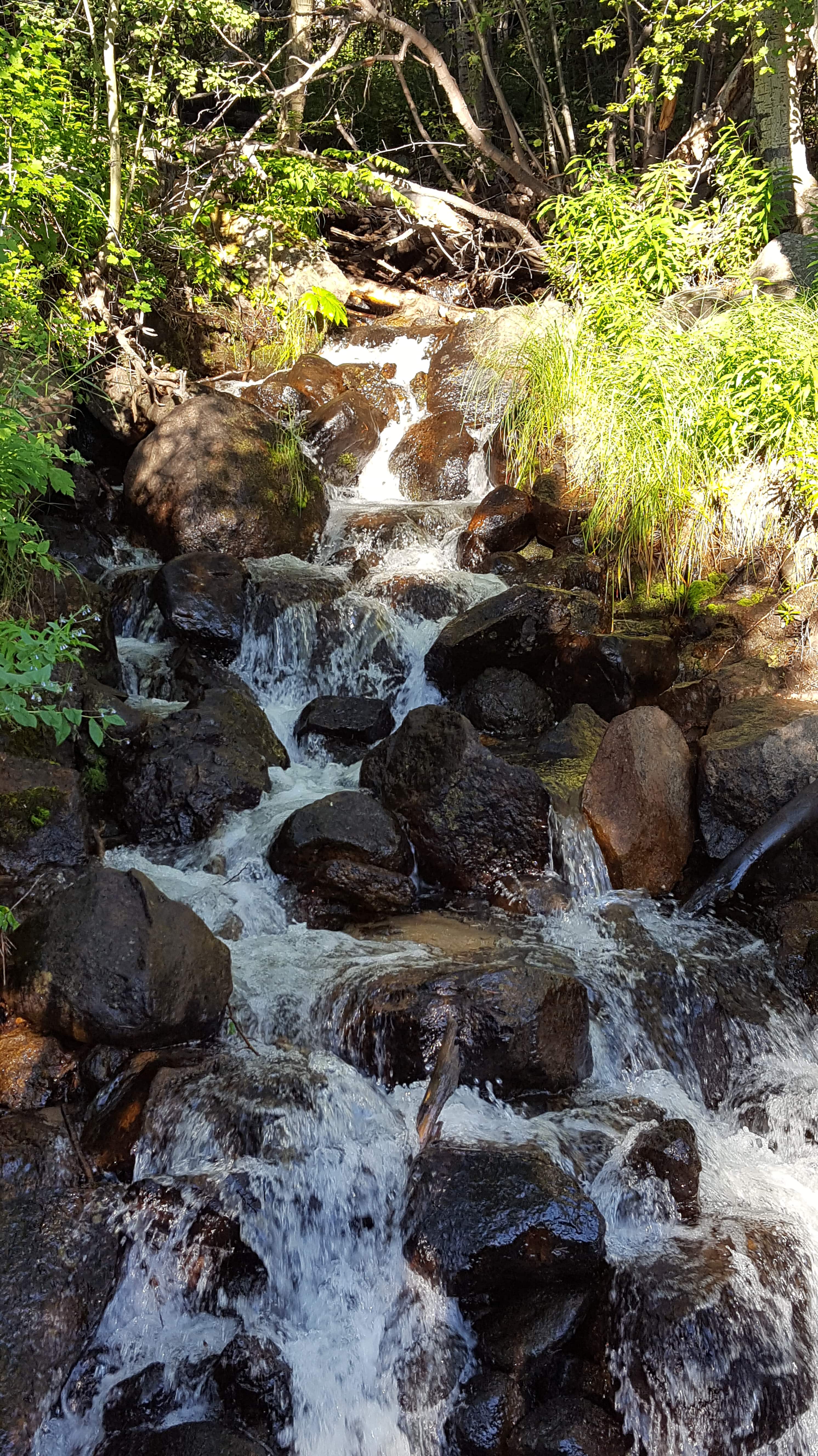 Waterfall in RMNP