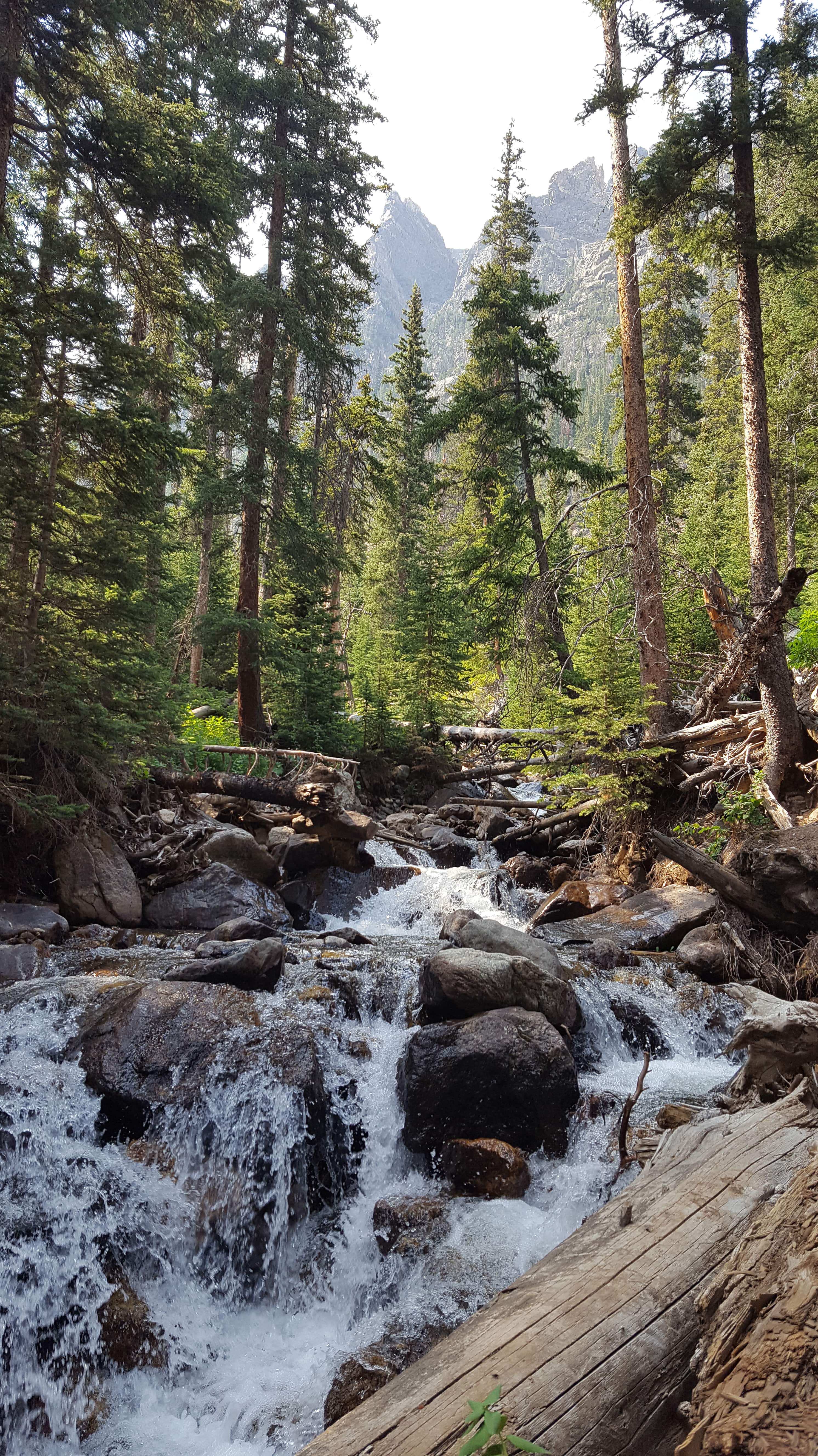 Waterfall on Old Fall River Road-RMNP