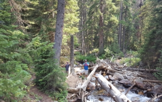 RMNP off of Old Fall River Road