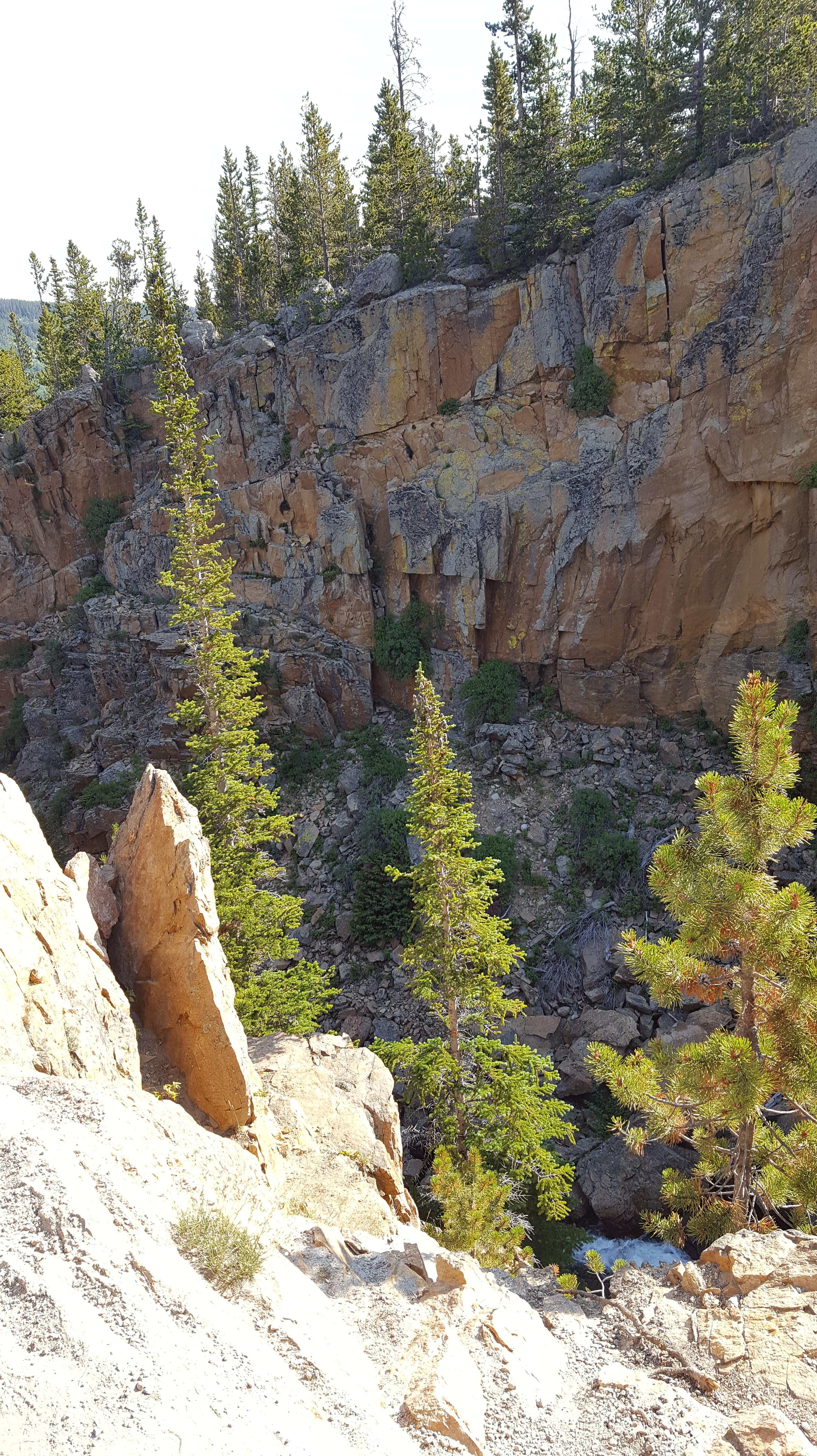 Alberta Falls, Rocky Mountain Nat'l Park