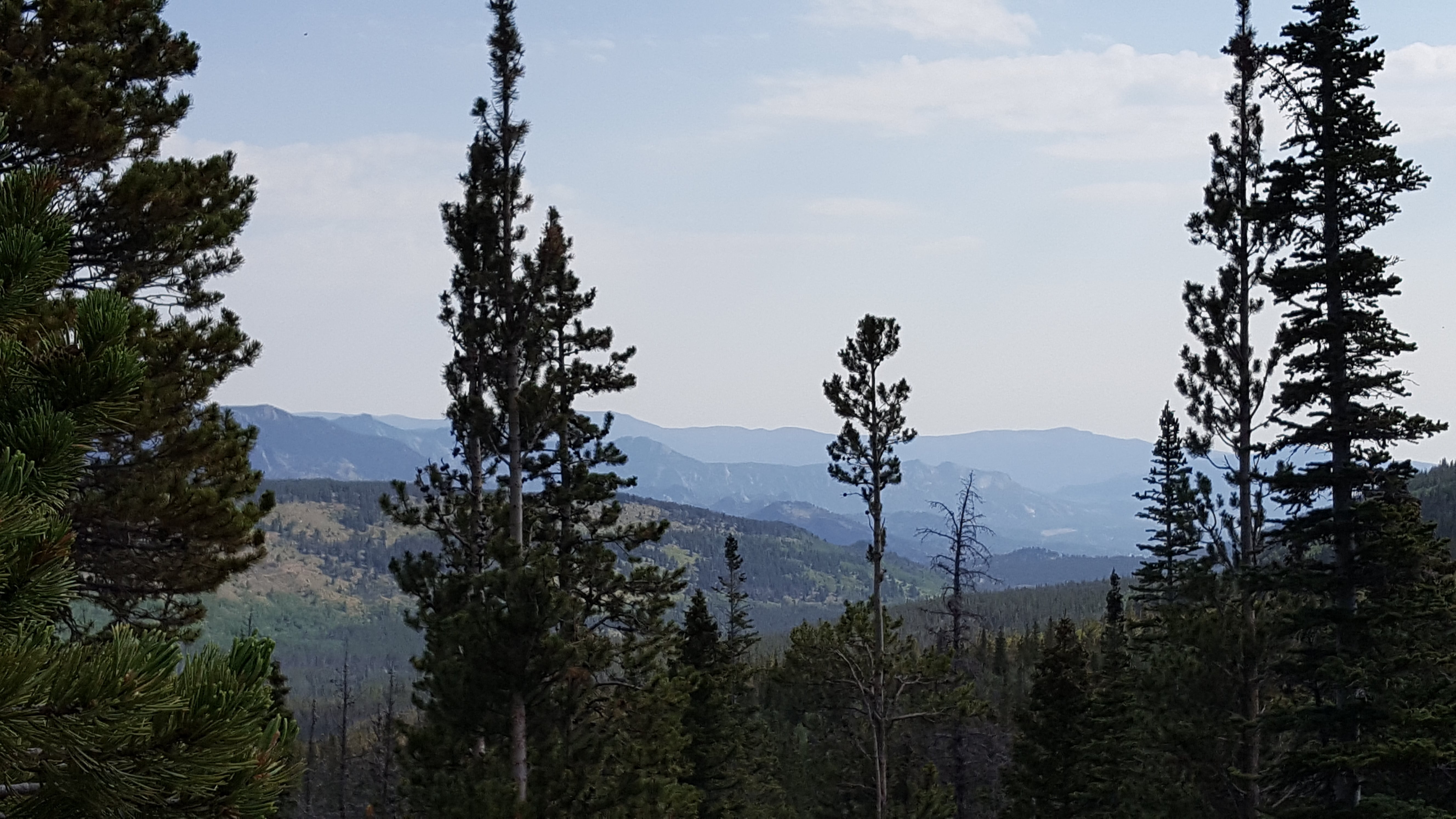 View on the way to Loch Lake, Rocky Mountain Nat'l Park