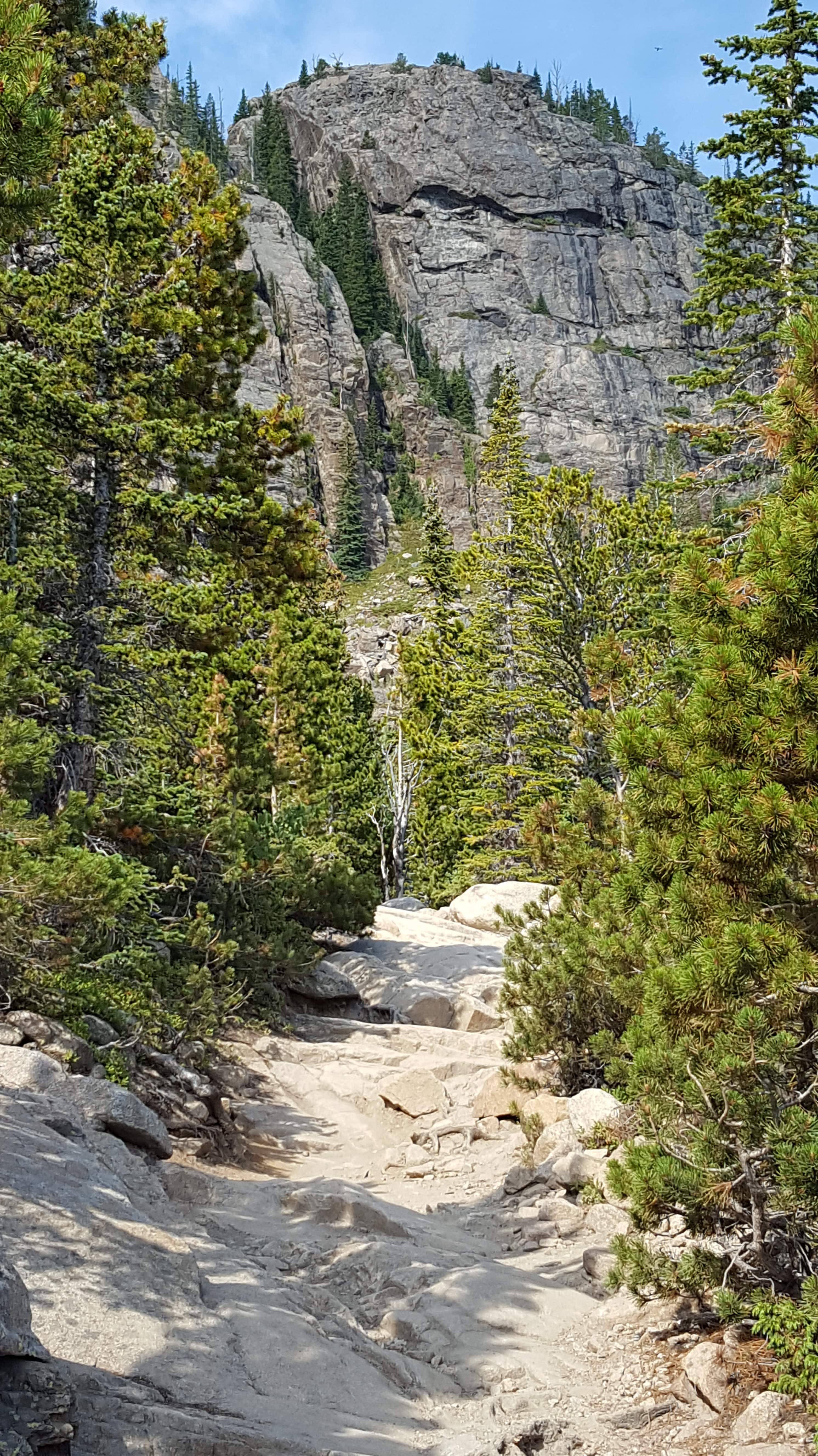 Trail to Loch Lake in Rocky Mountain Nat'l Park