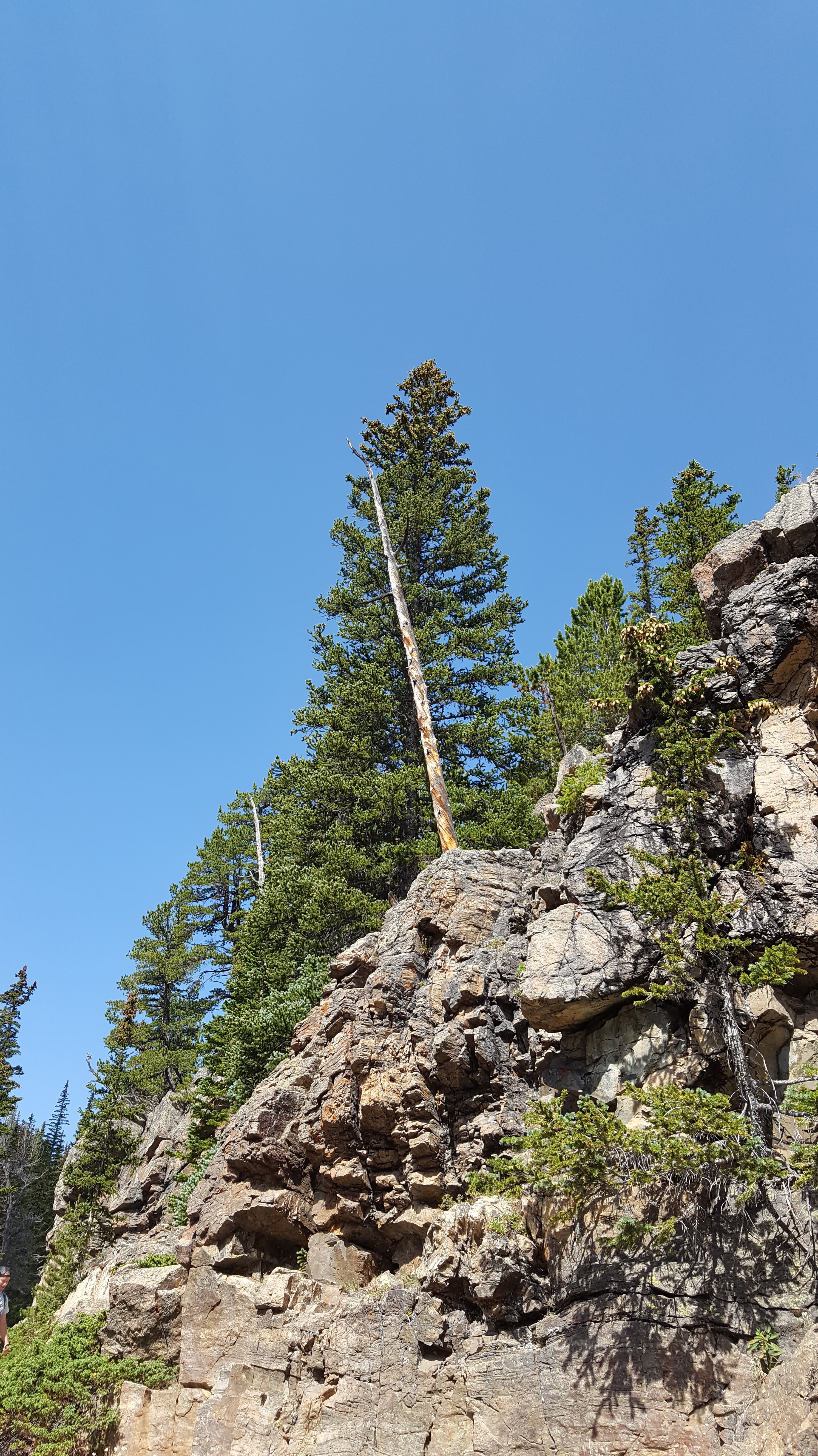 Rocky Mountain Nat'l Park trail
