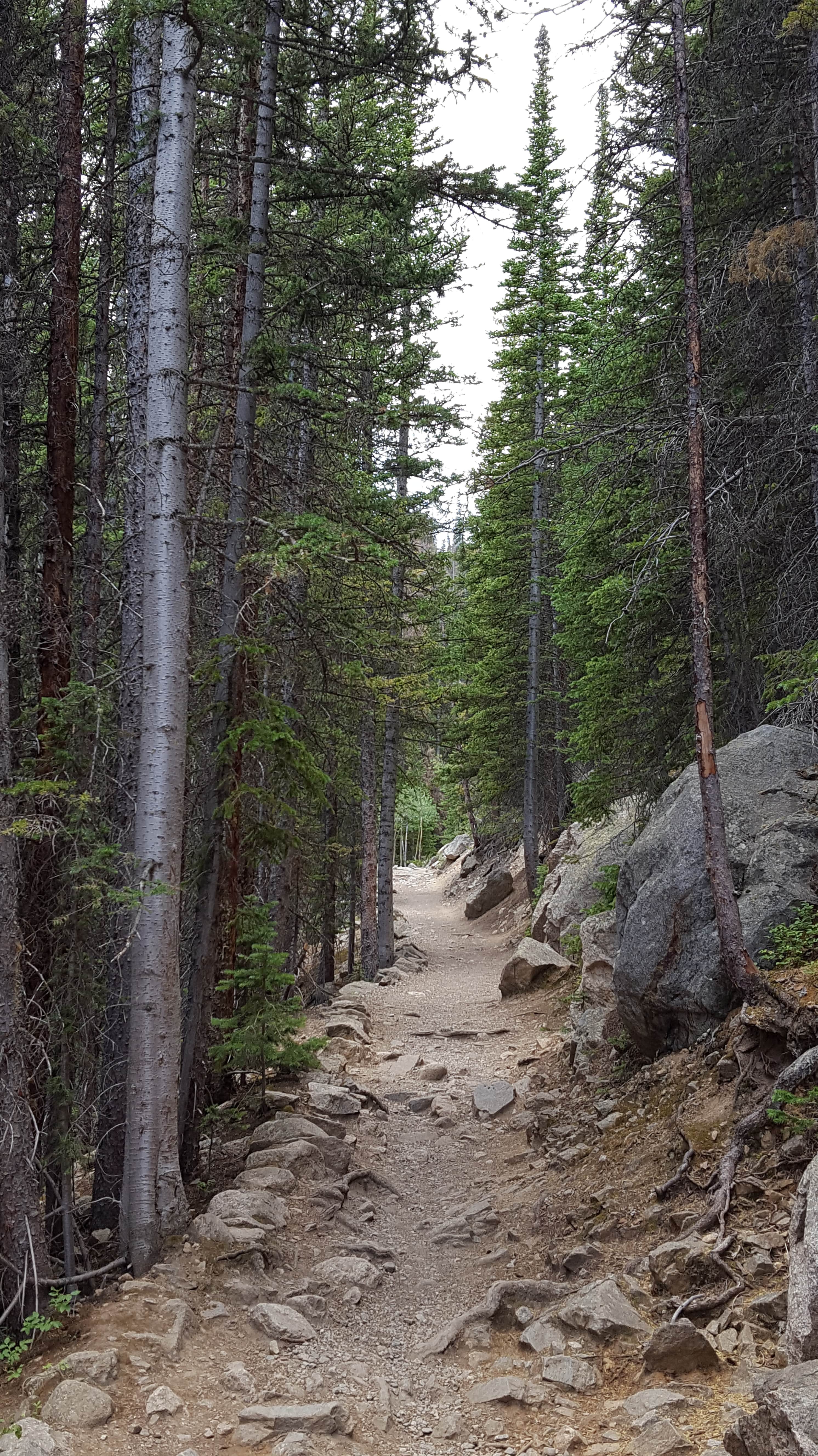 Hiking near Lake Haiyaha in Rocky Mountain Nat'l Park