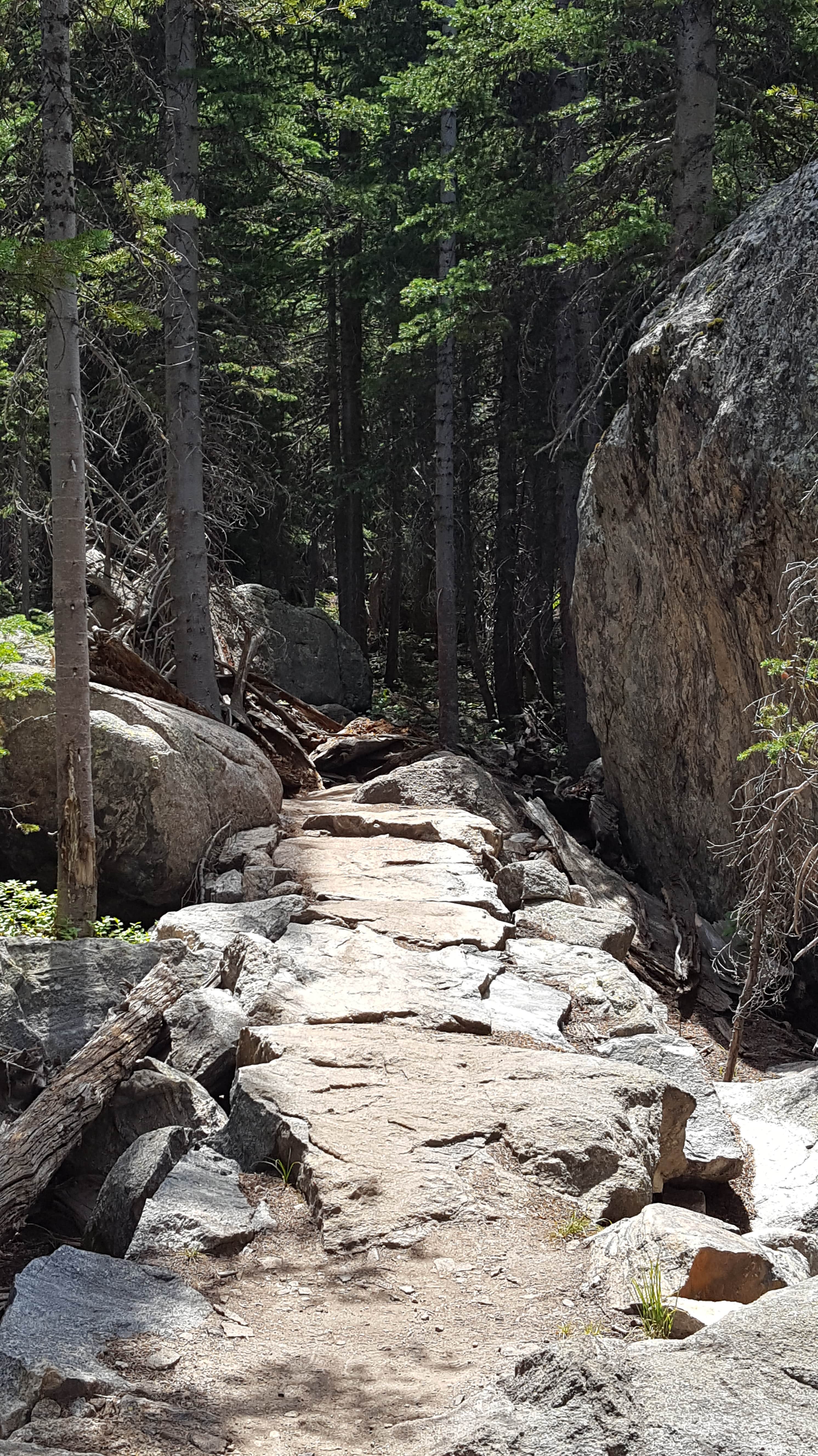 Hiking in Rocky Mountain Nat'l Park