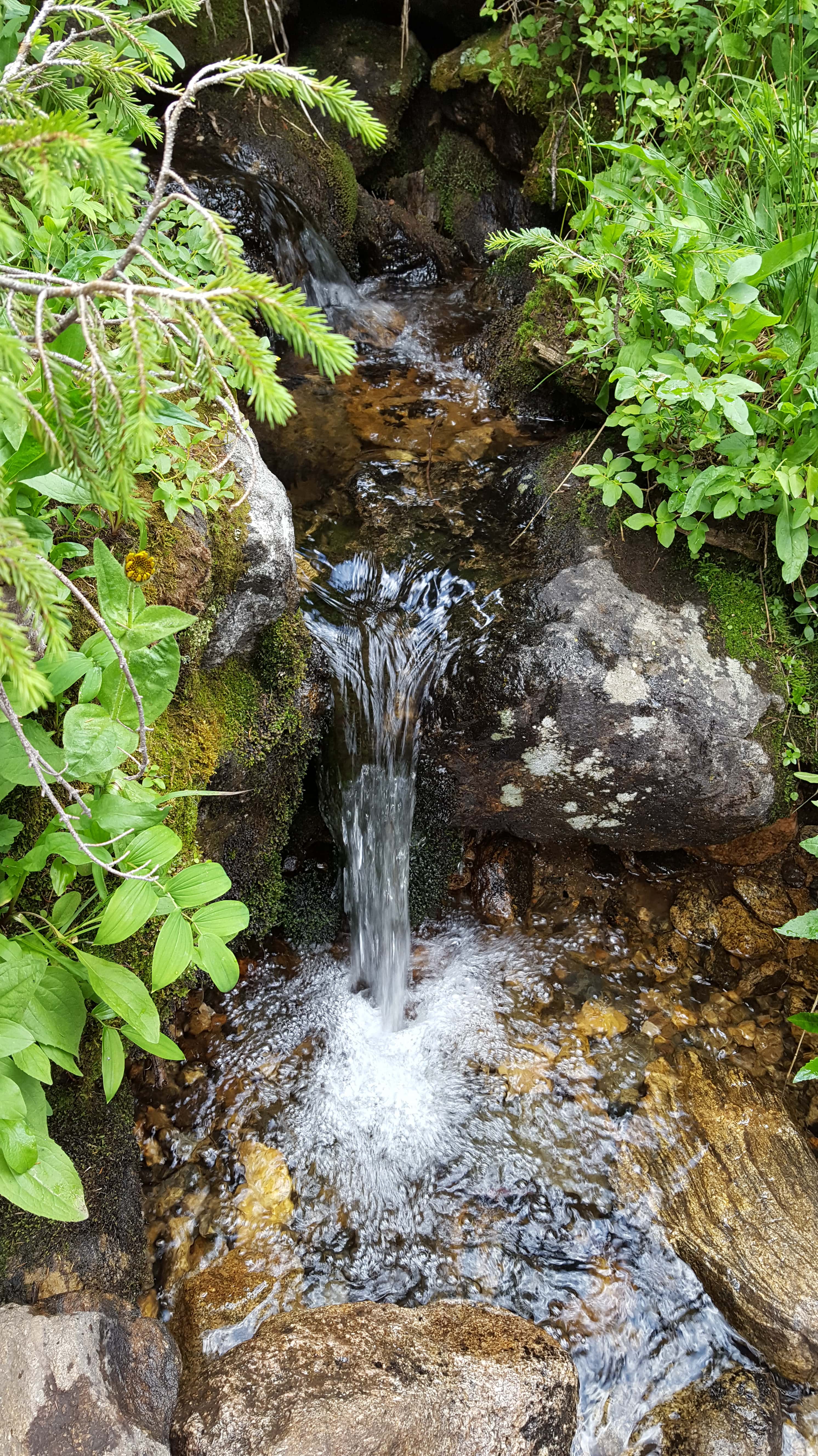 Mini waterfall, the Loch trail, RMNP