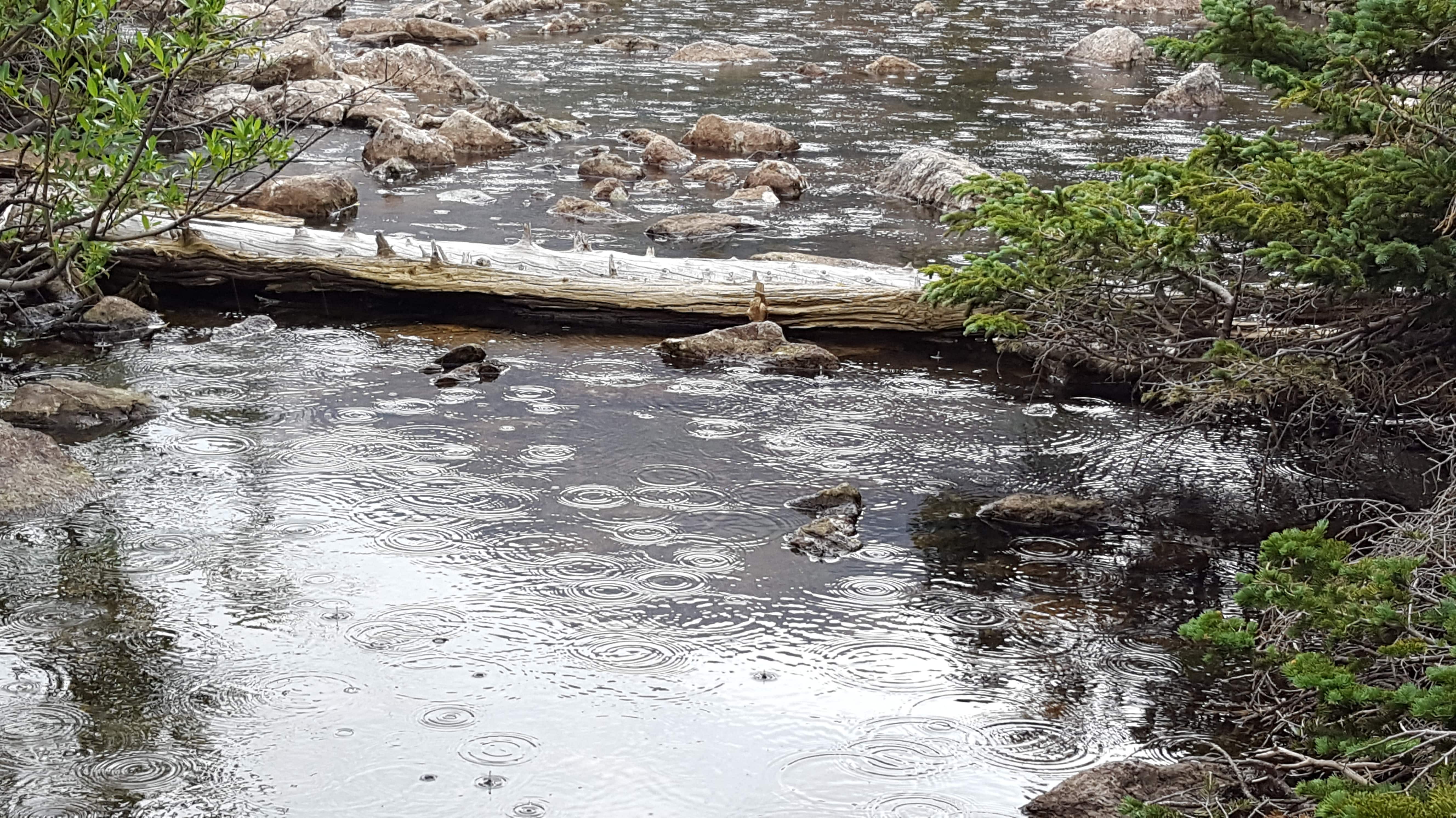 Lake in Rocky Mountain Nat'l Park