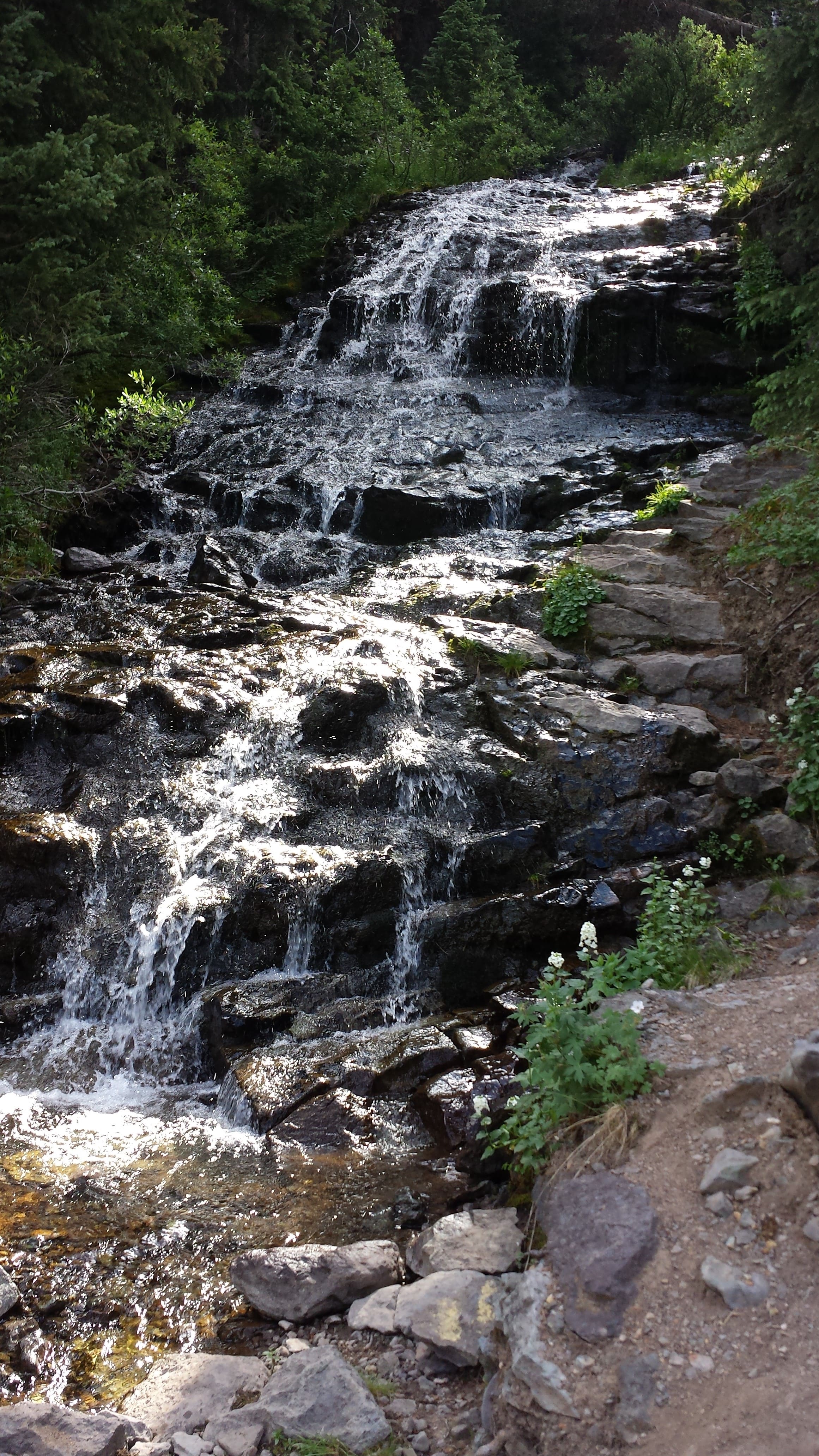 Waterfall Trail Ridge Road