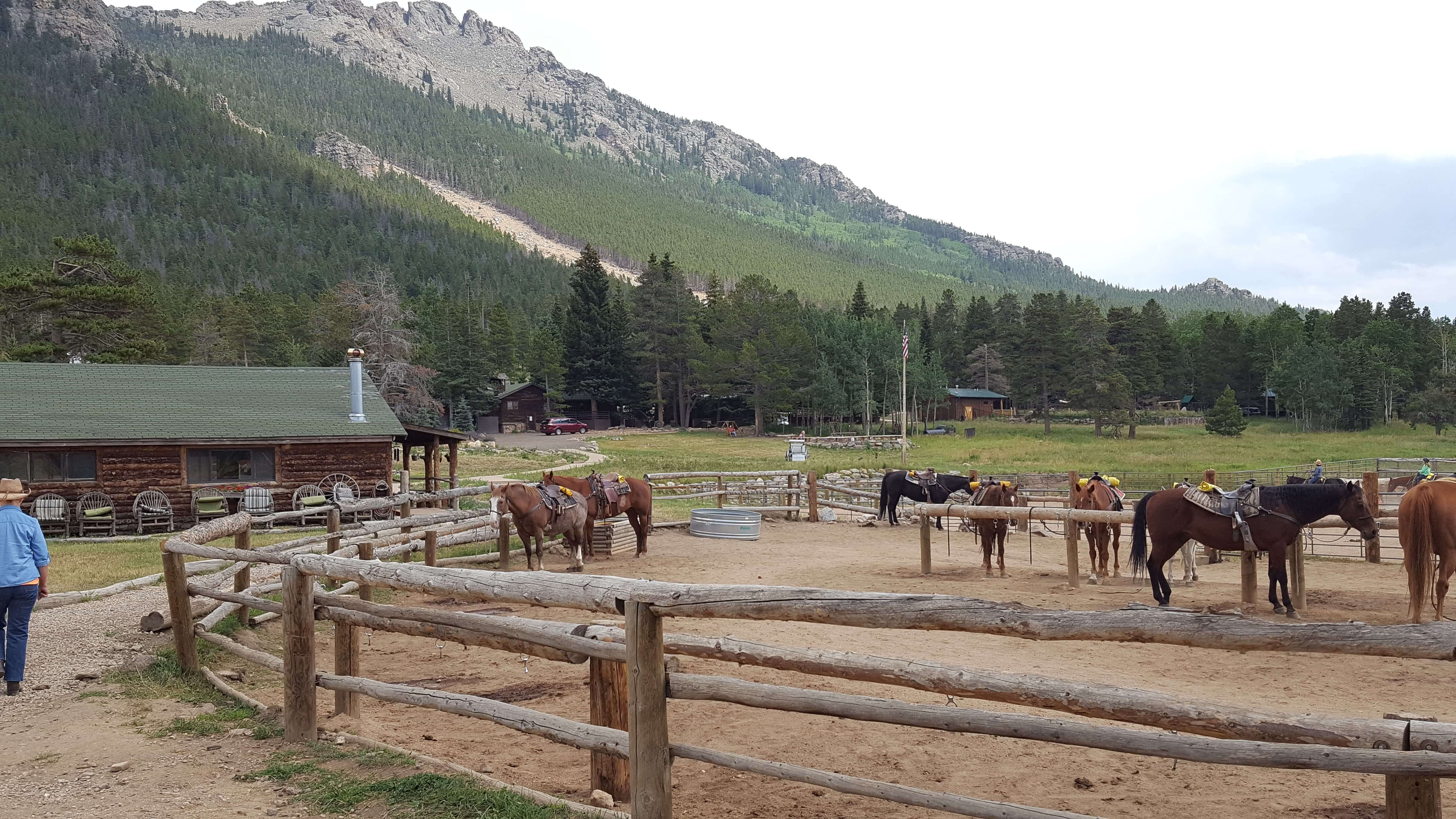 Wind River Ranch horses, Estes Park area