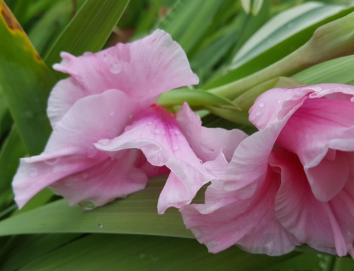 Do you REALLY know who you are?