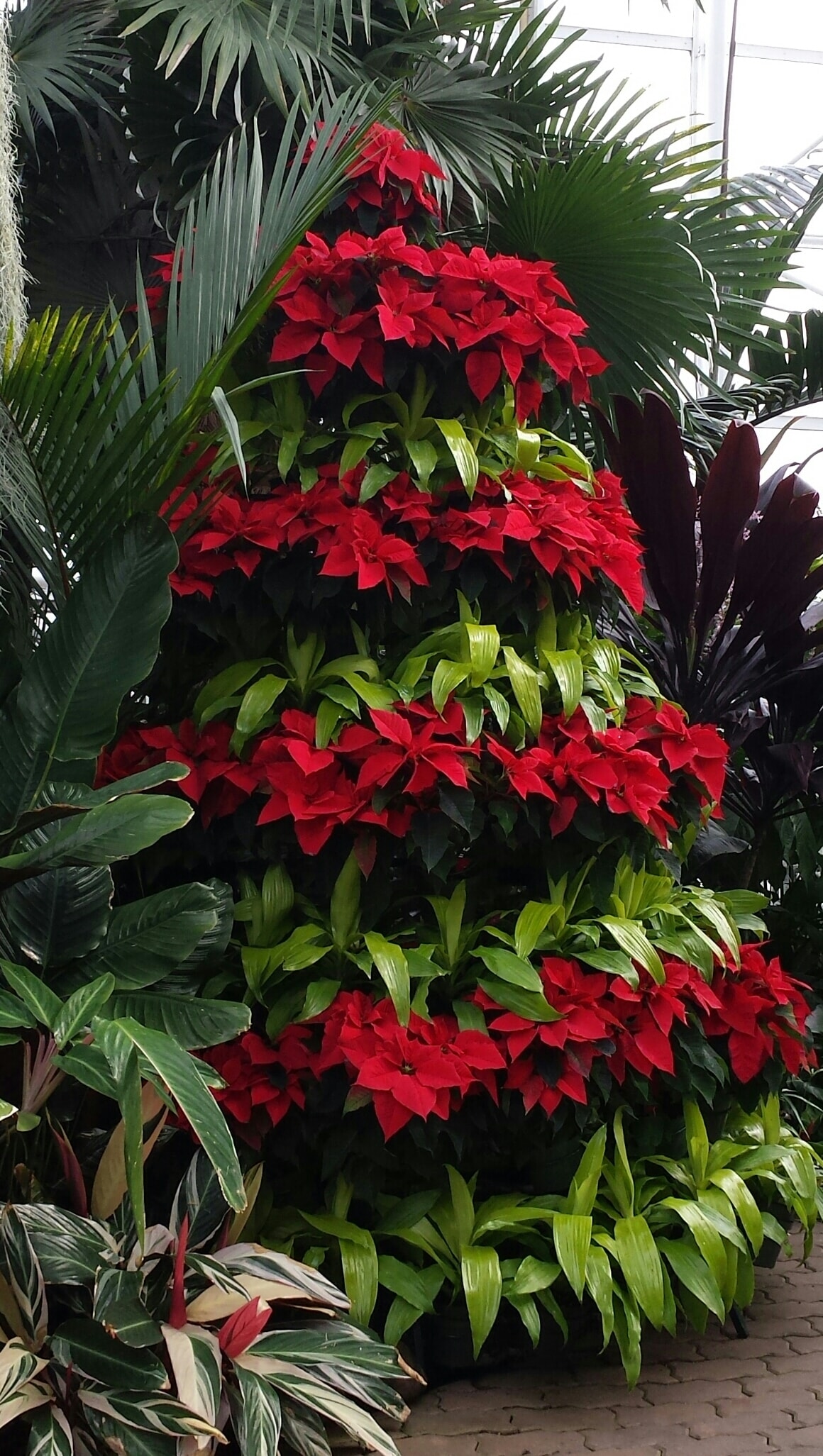 Poinsettia Christmas tree