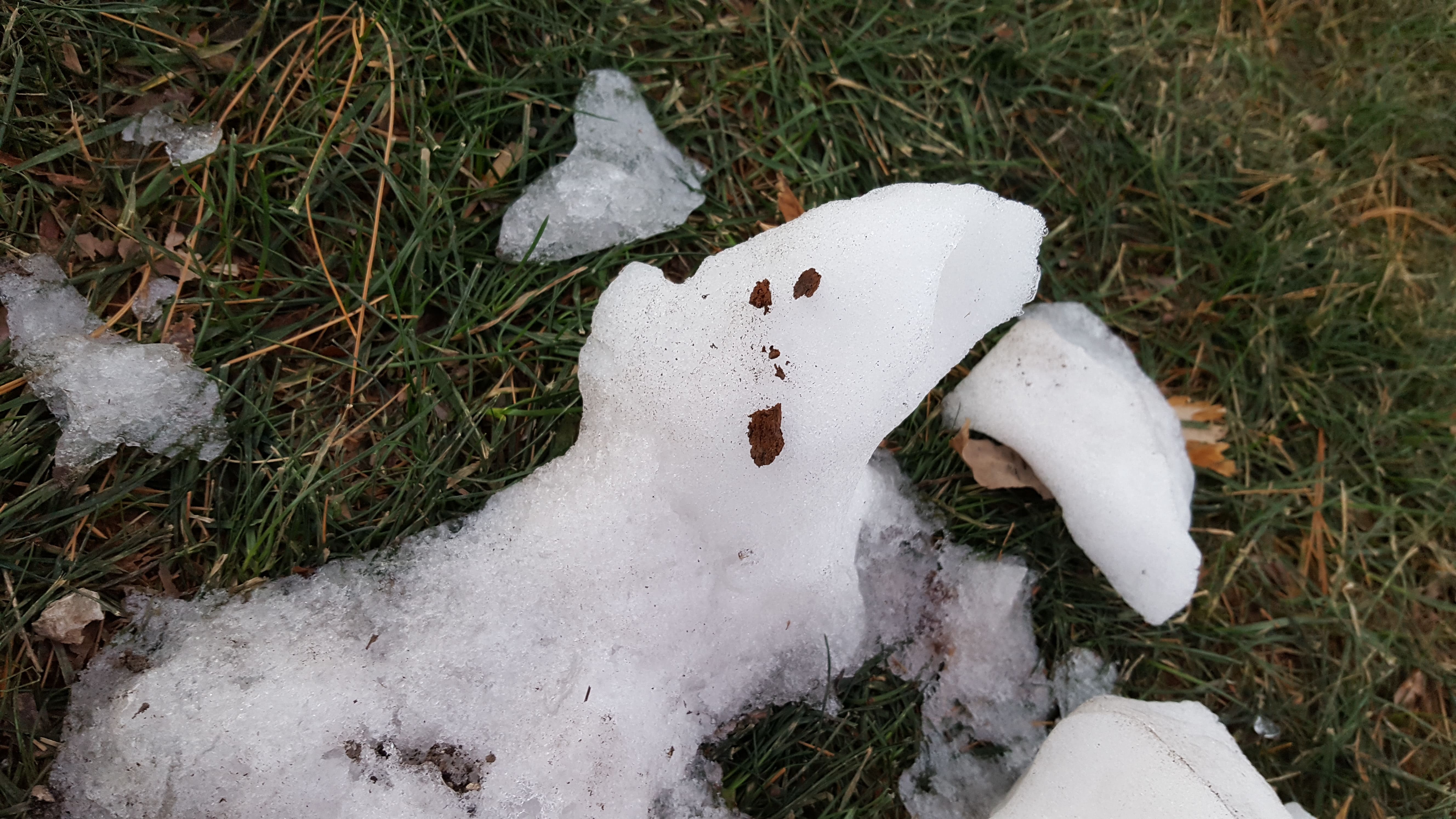 Screaming snow face!