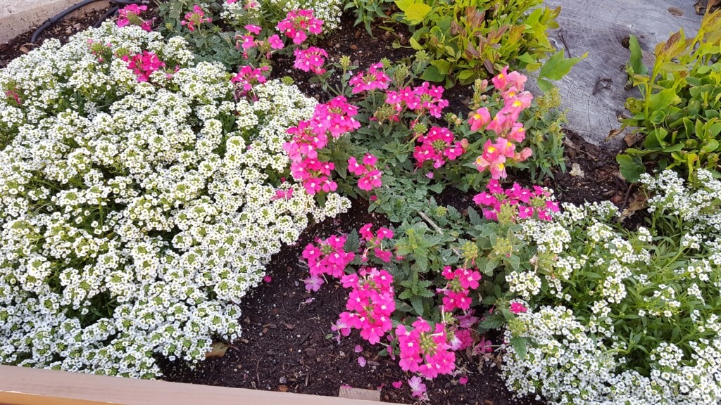 Colorful Estes Park, CO