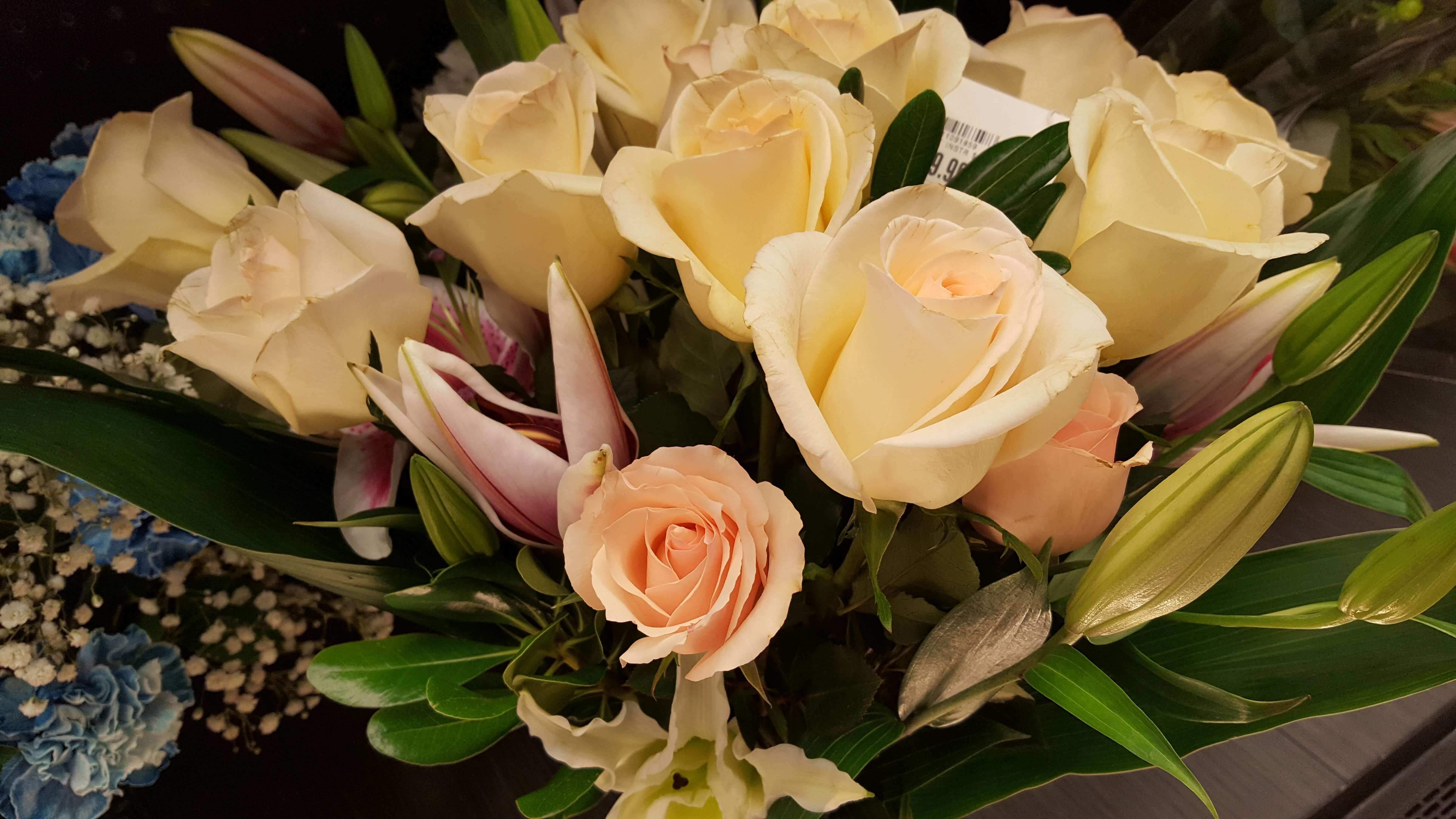 Cream-colored roses