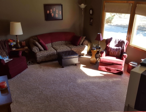 It’s Friday night. The lights are down low and…a possum?