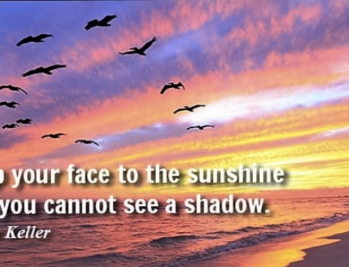 Bits and Pieces to make a beautiful life