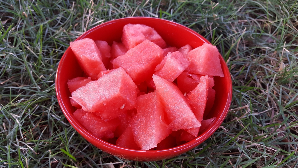 Watermelon in red bowl