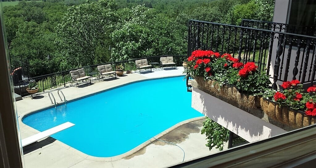 Pool and red flowers