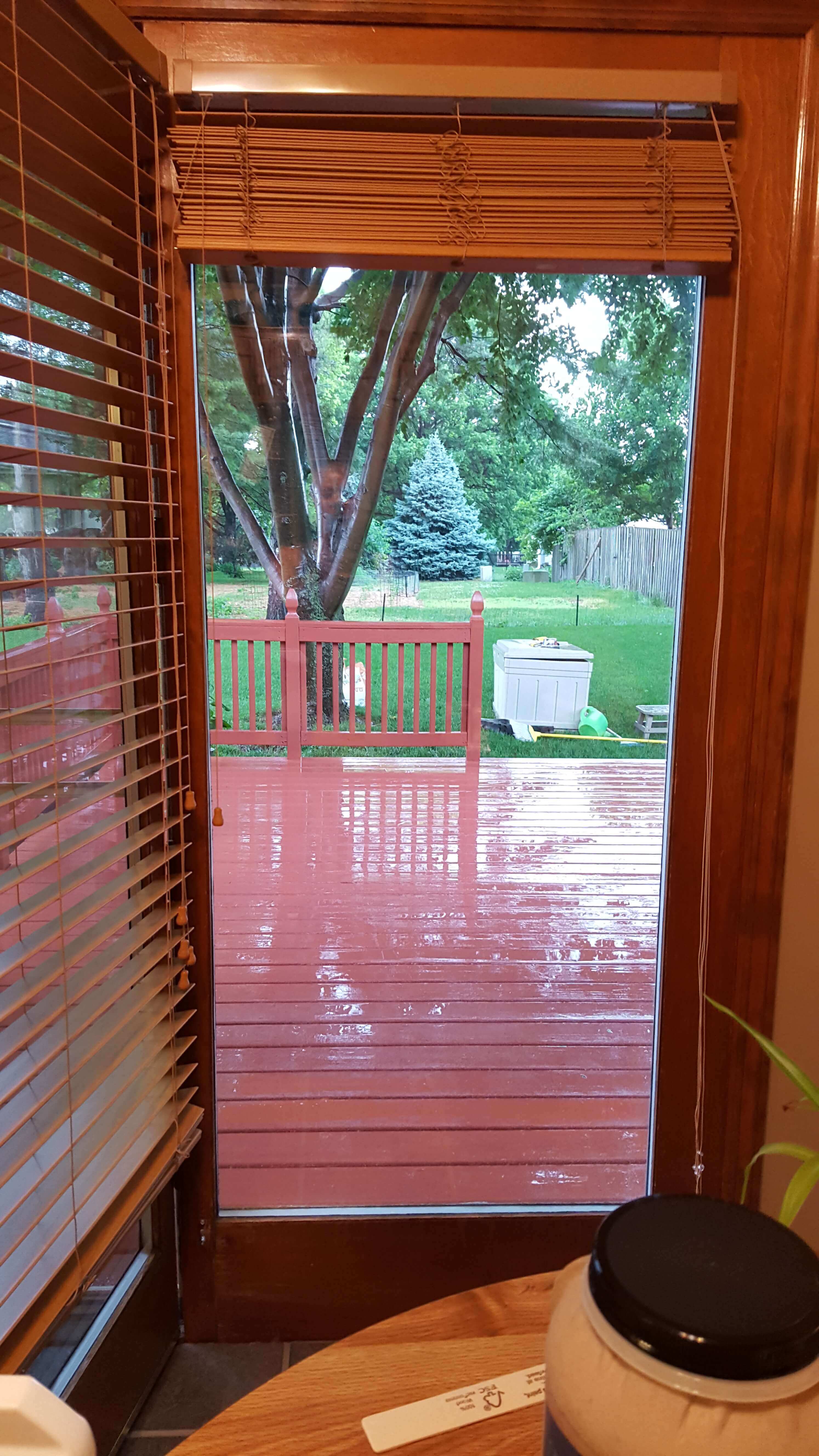 A window so clean you may walk right through it!