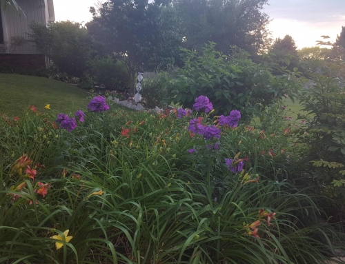 Want to get inspired? See what can be accomplished on a staycation.