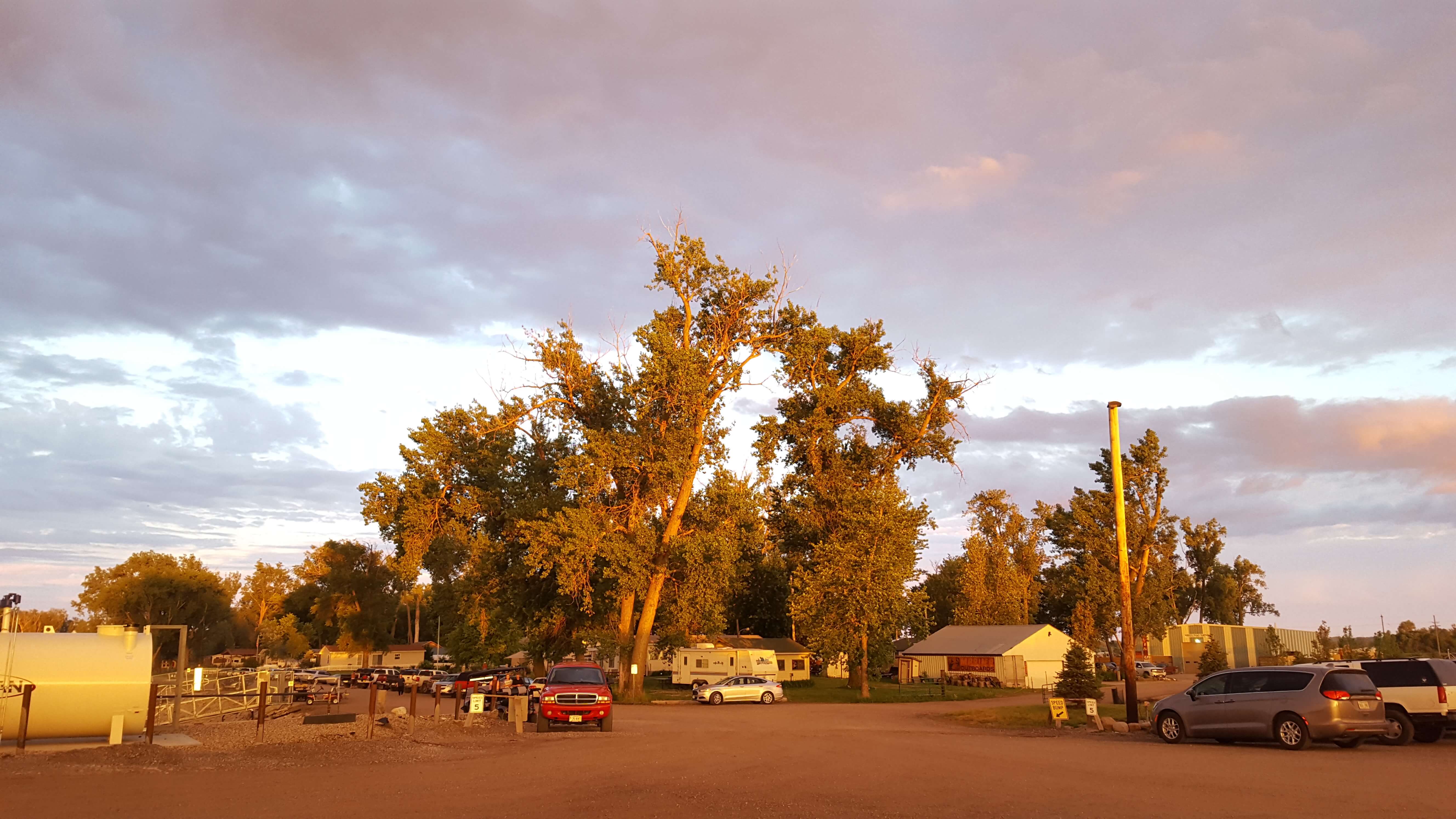 Golden trees at the Cottonwood Marina, Blair, NE