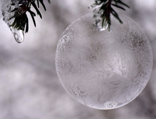 Do painful words make us cry because they’re true?