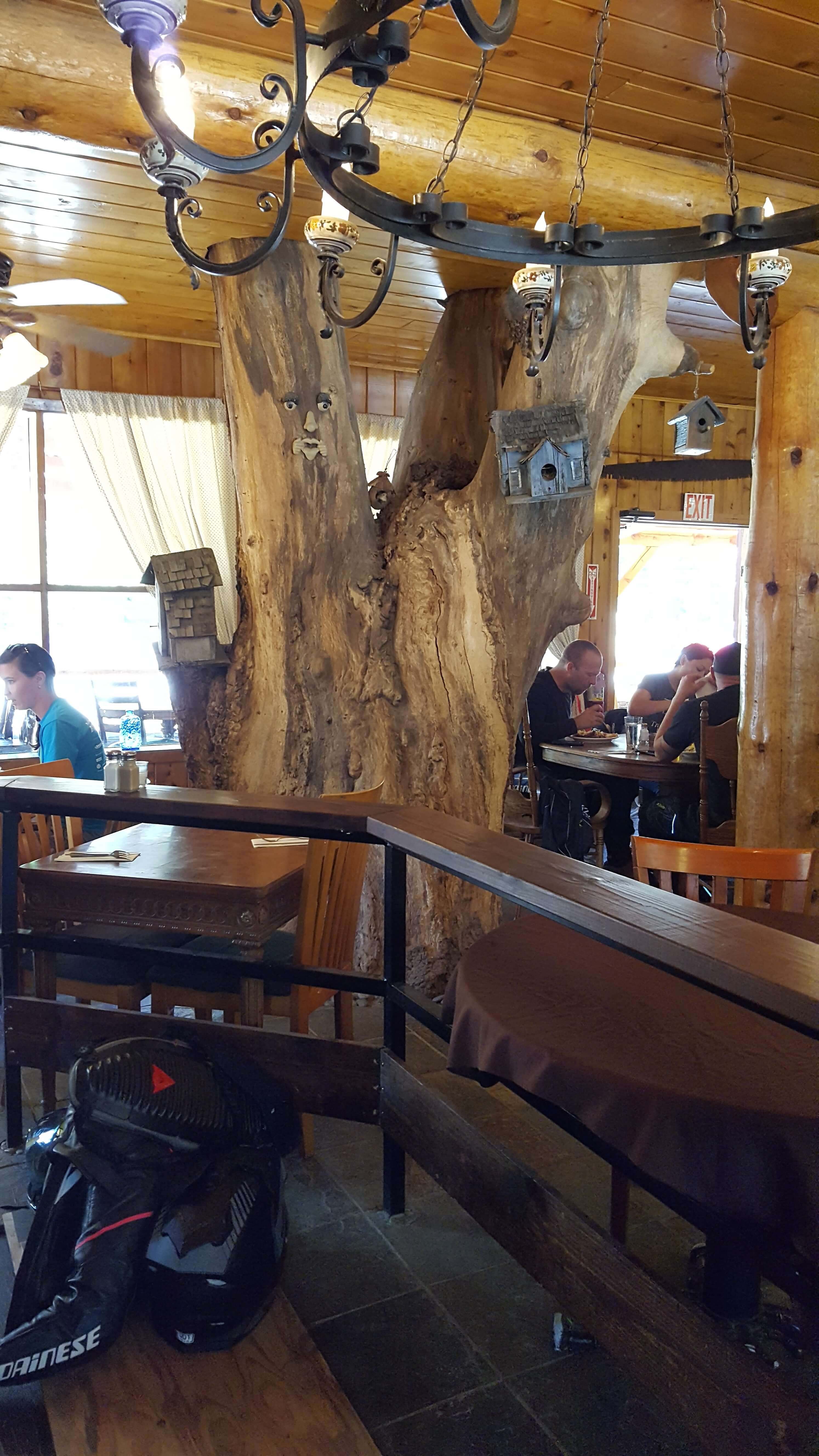 Tree inside Pine House restaurant
