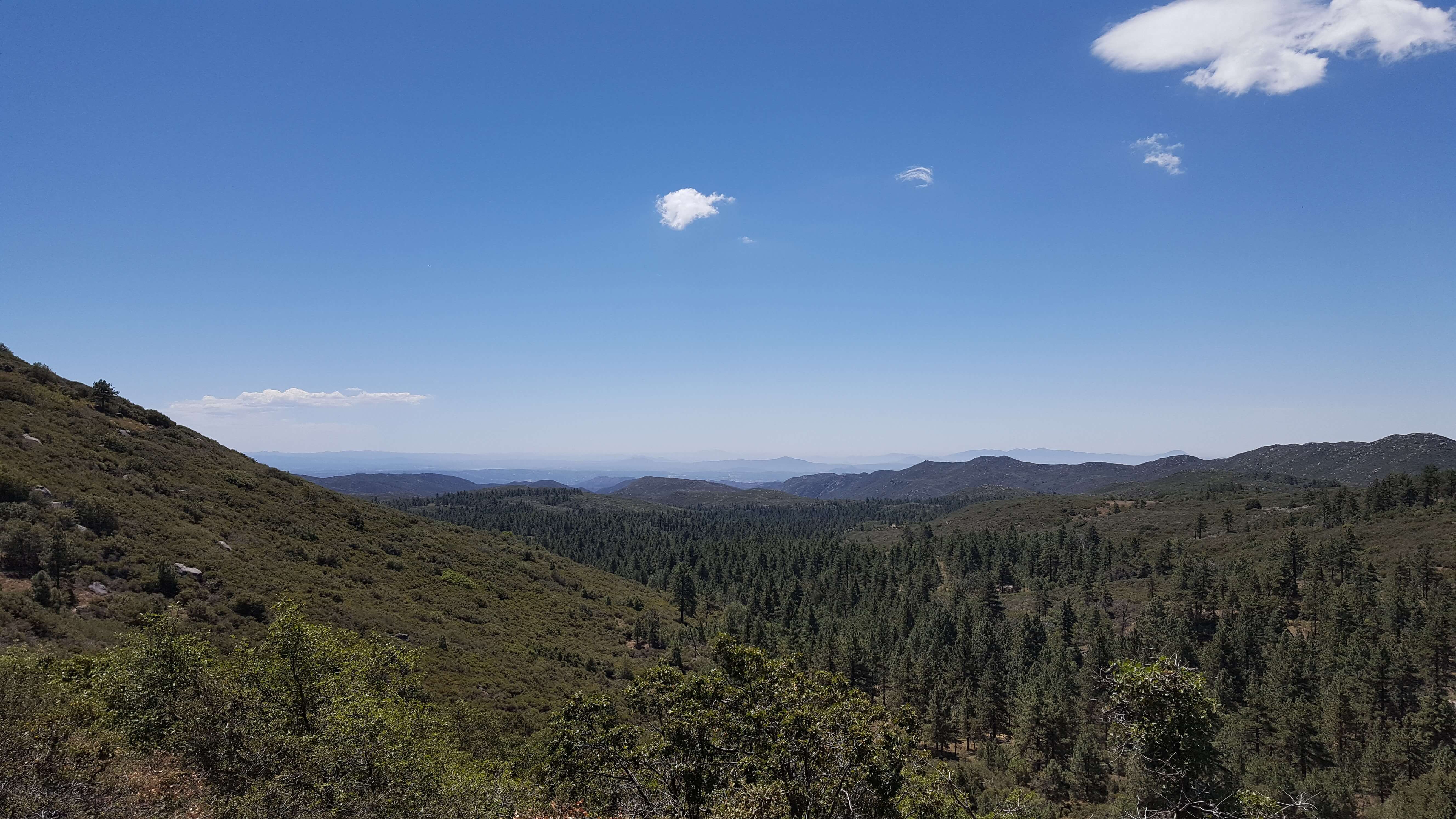 Mountains near Mt. Laguna, CA