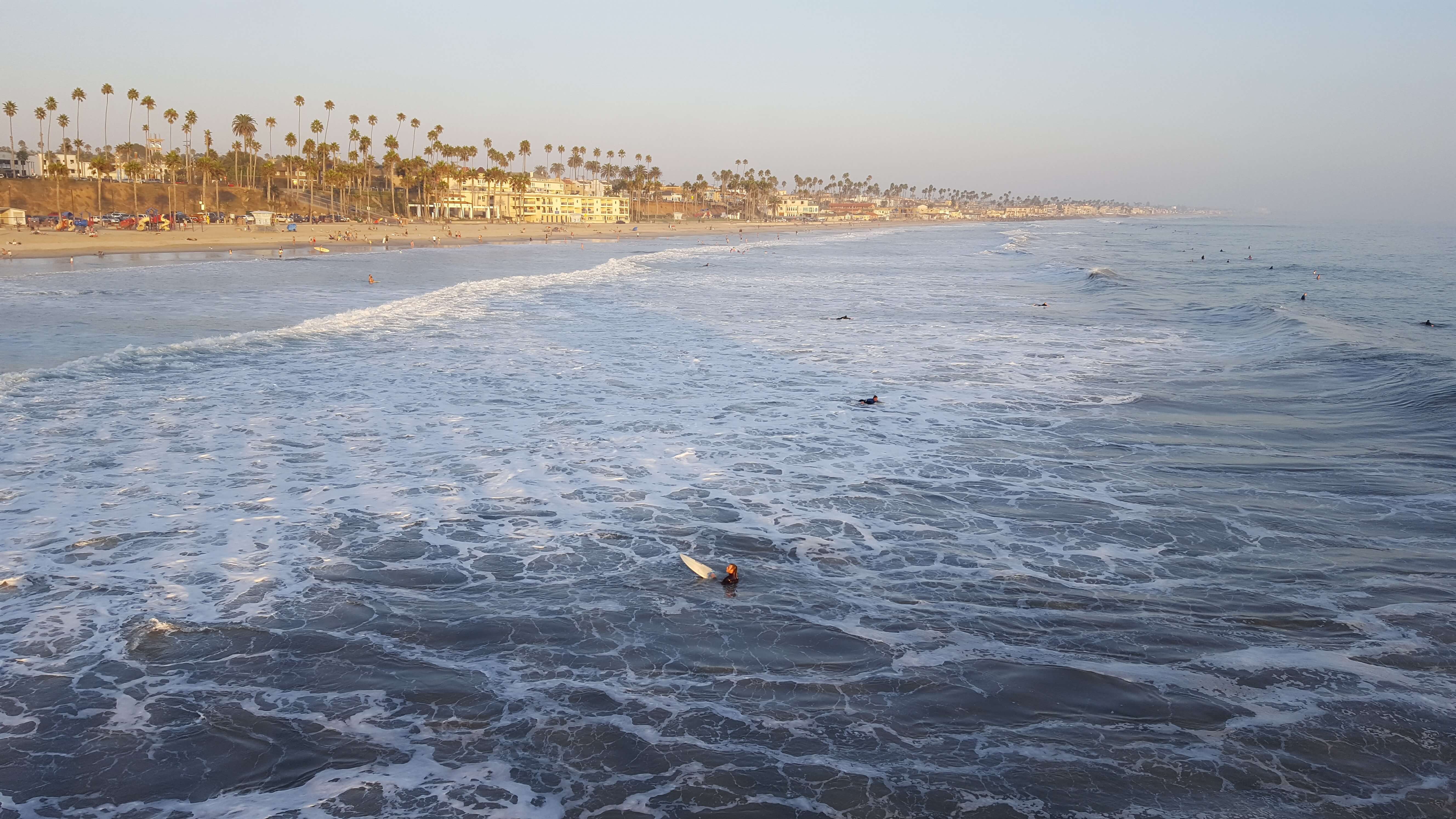 Palm trees and ocean