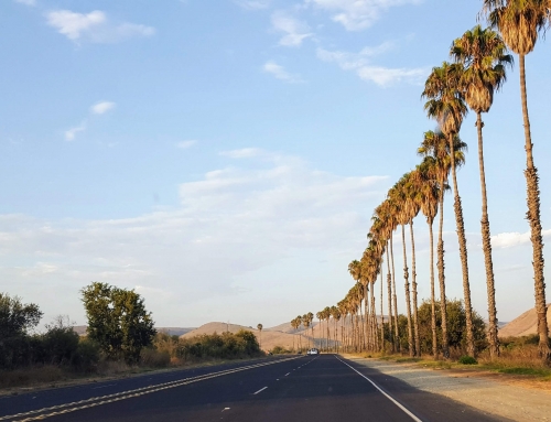 Two days of delight AND unparalleled, anxious activity!