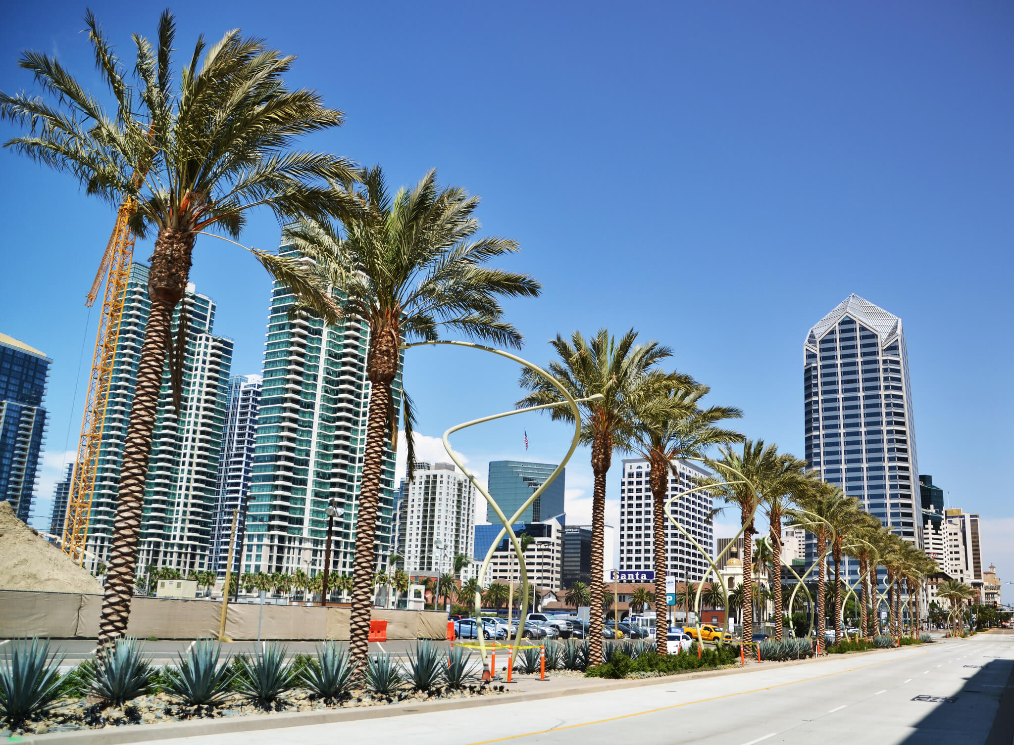 Palm trees interlaced with curvy street lights!