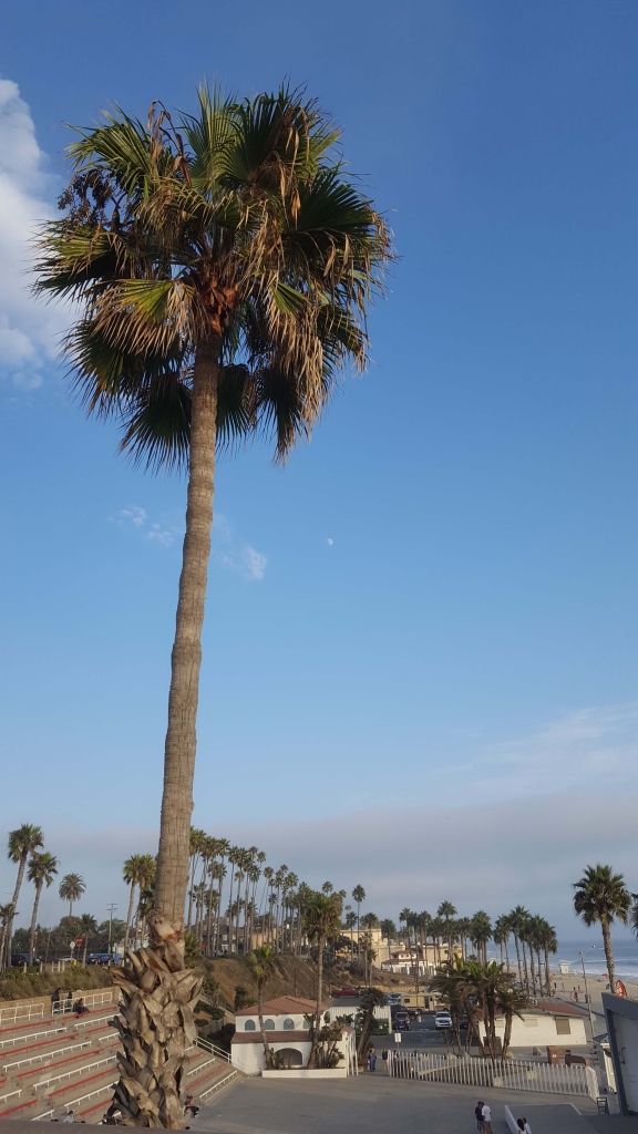 Blue-sky day at Oceanside Pier