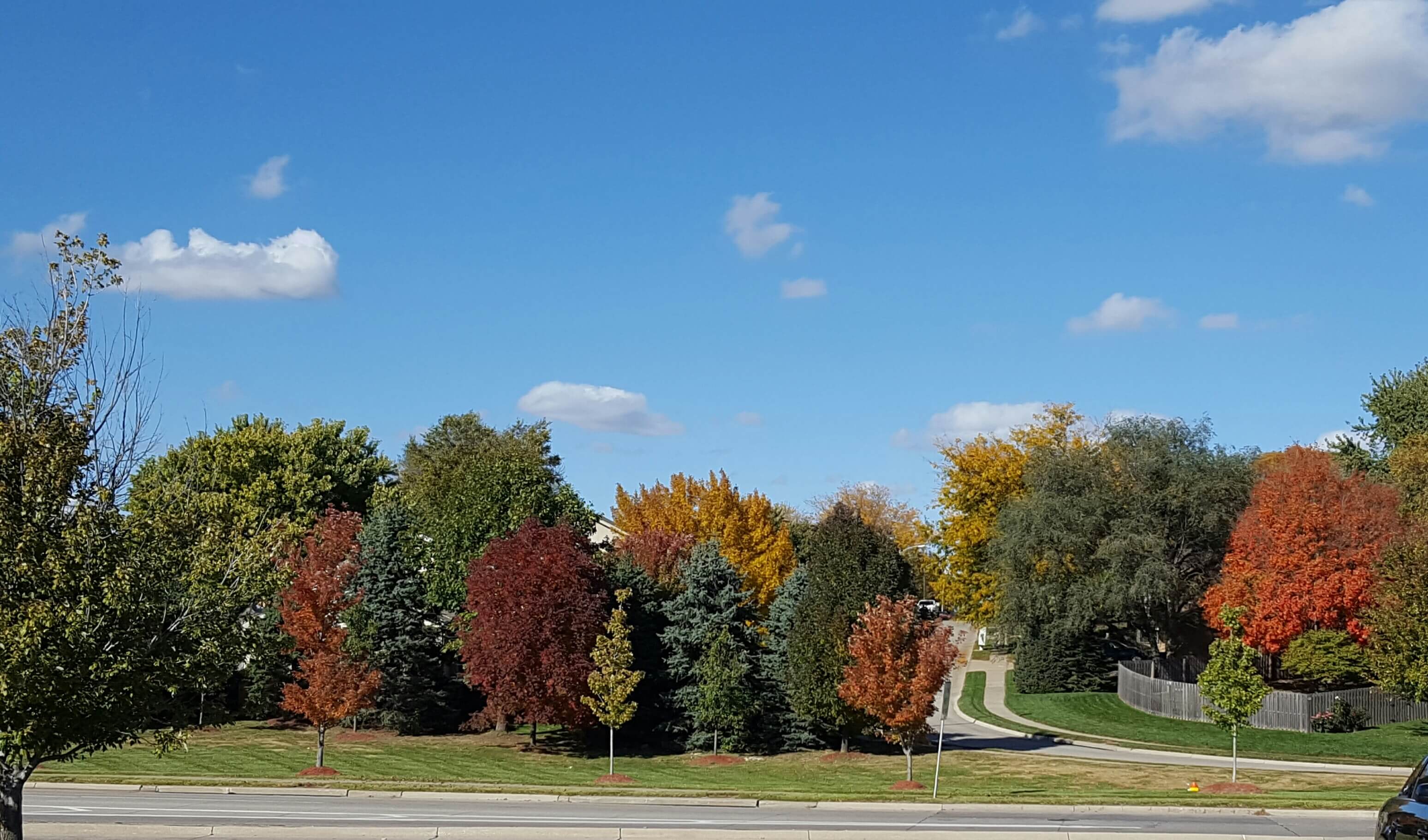 A beautiful November 1st!