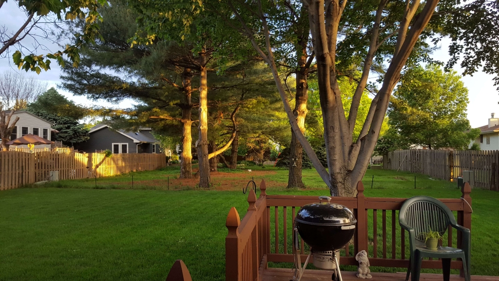 A visually warm spring day