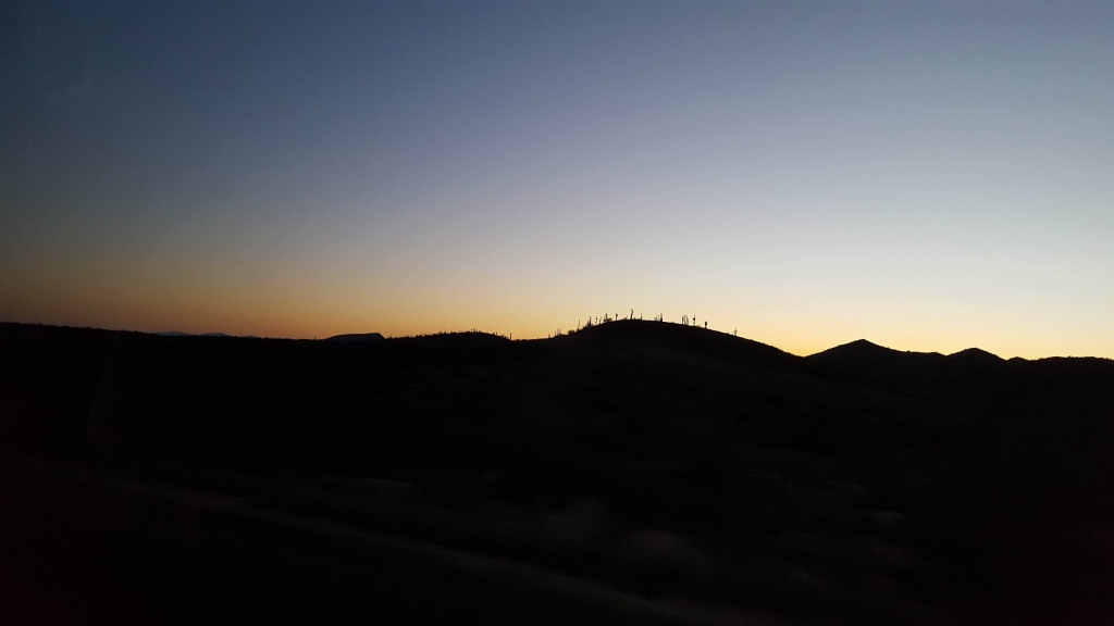 Sunset and cactus