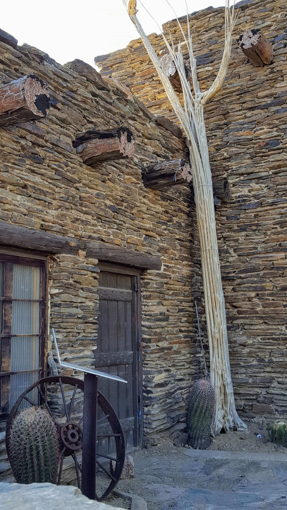 Cactus skeleton in Arizona