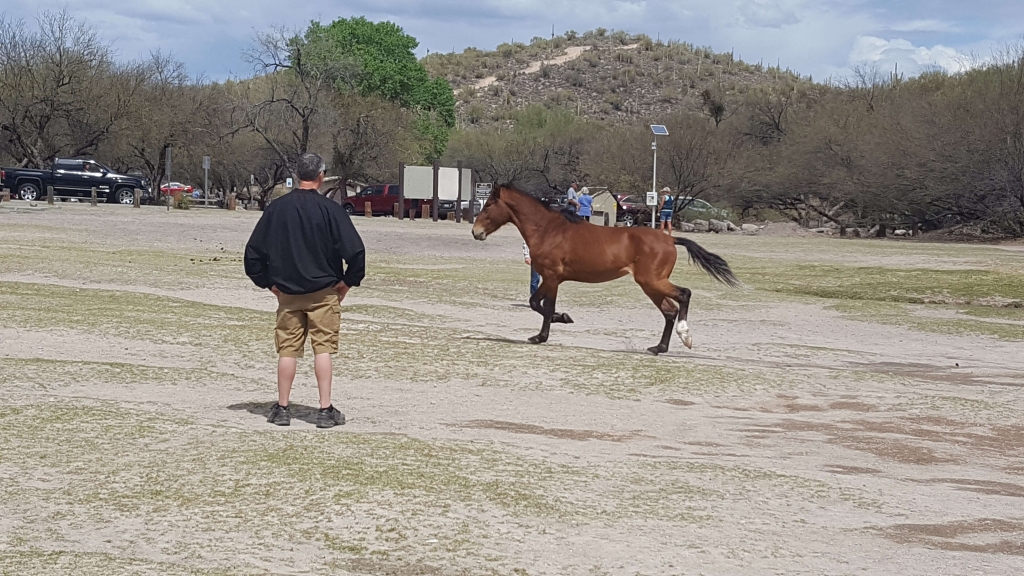 Butcher Jones Recreation Area, Gold Canyon, AZ