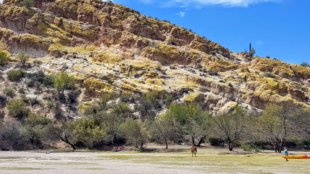 Butcher Jones Recreation Area, Gold Canyon, AZ