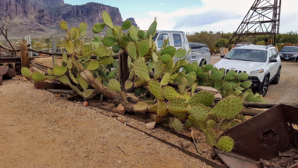 Goldfield Ghost Town, AZ