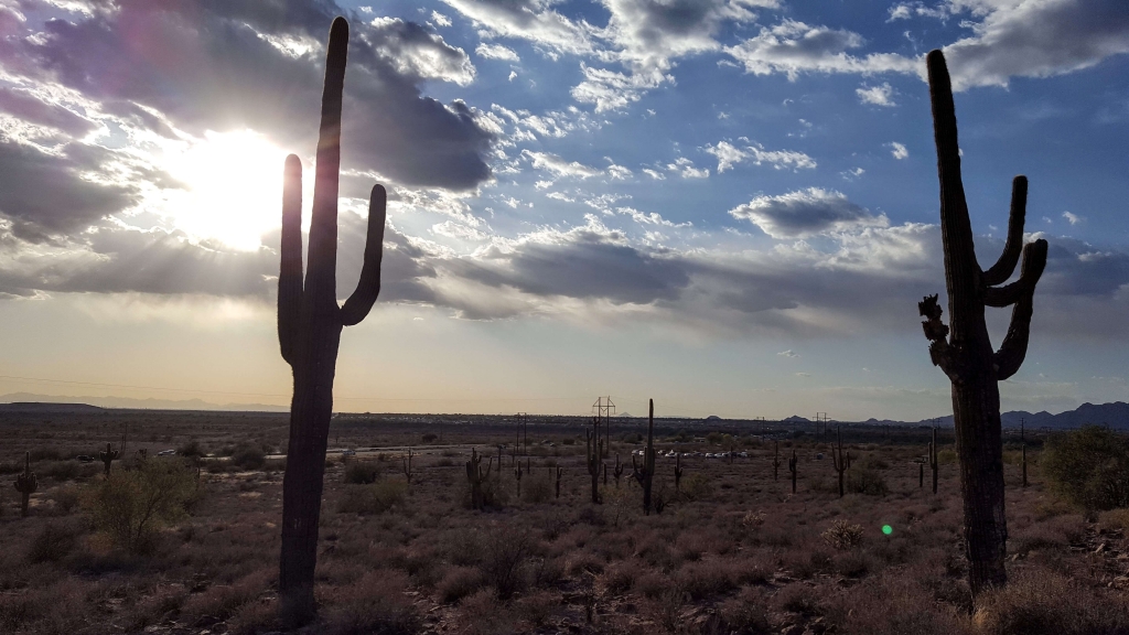 Apache Junction, AZ, area