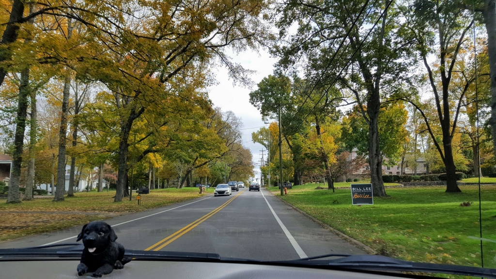 Beautiful Nashville neighborhood
