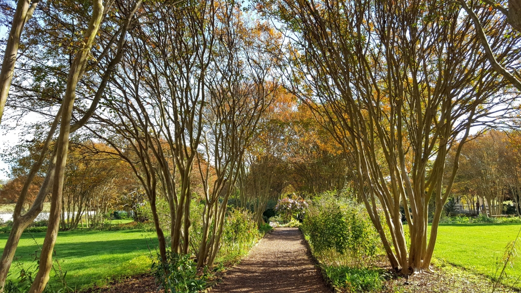 Garden path at The Hermitage, Nashville, TN