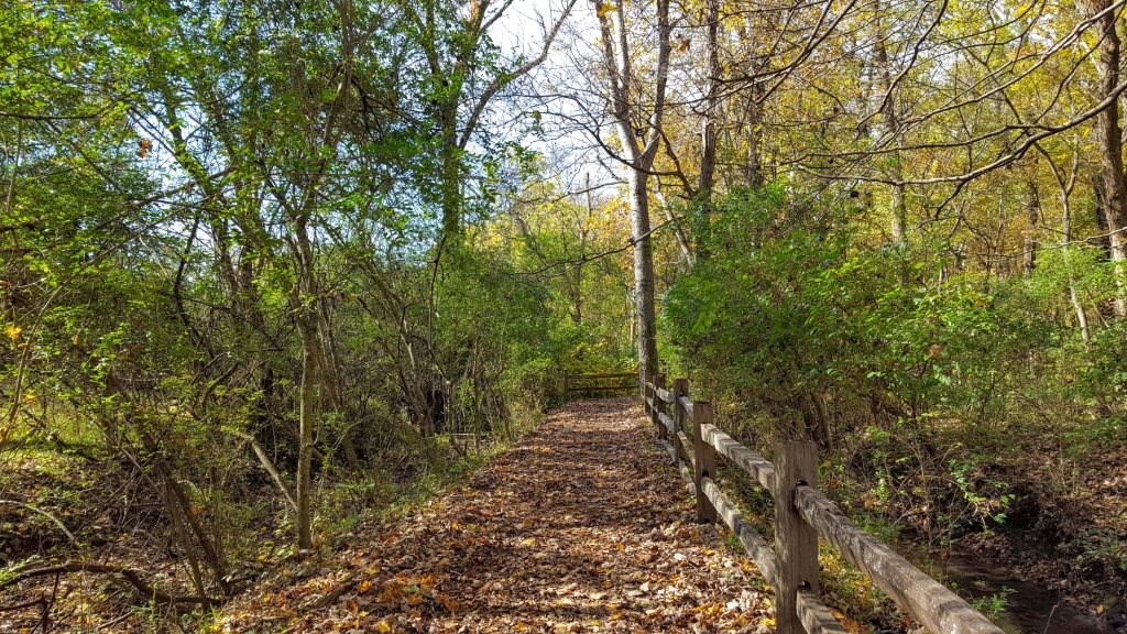 A tranquil path at the Hermitage, Nashville, TN