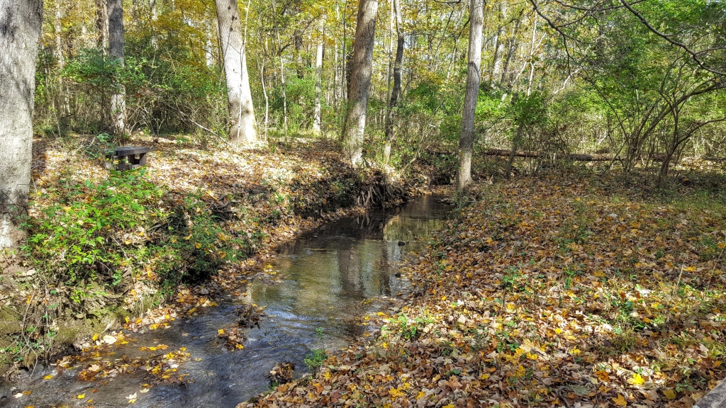 Creek on the Hermitage, Nashville, TN