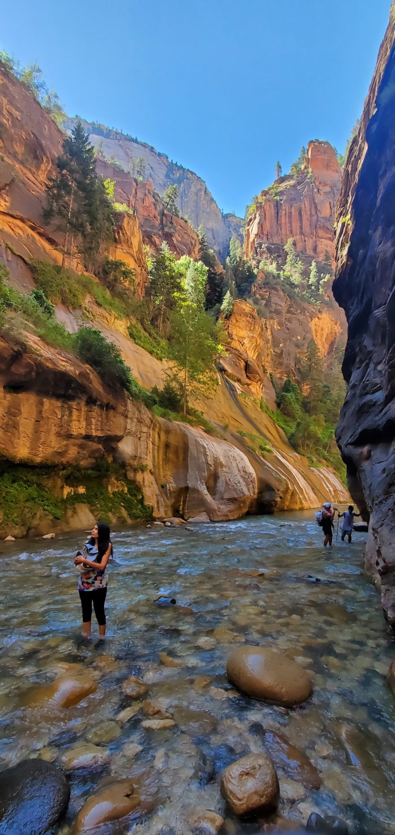 The Narrows in Zion Nat'l Park