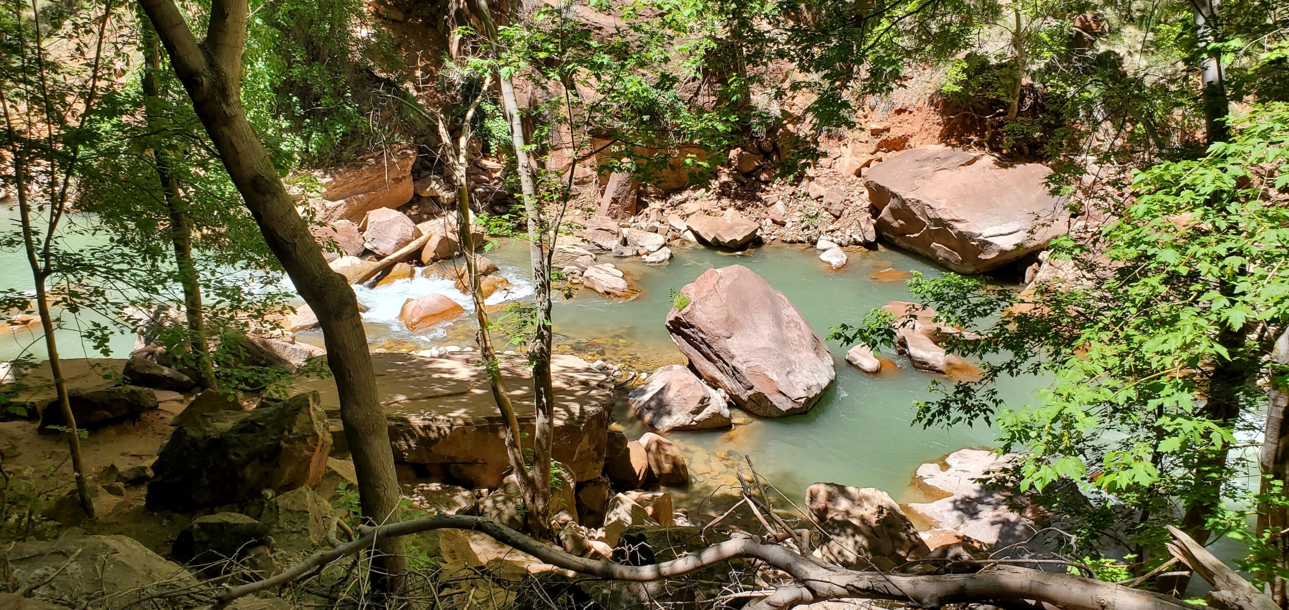 Zion Nat'l Park